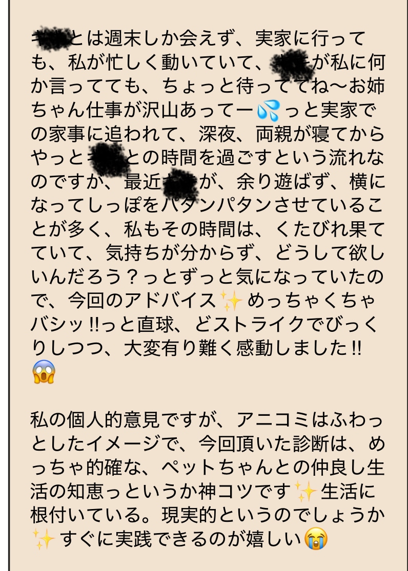 アニコミ/ペットと飼い主さんの相性診断します あなたと大切なペットとの「相性」をみていきます イメージ5