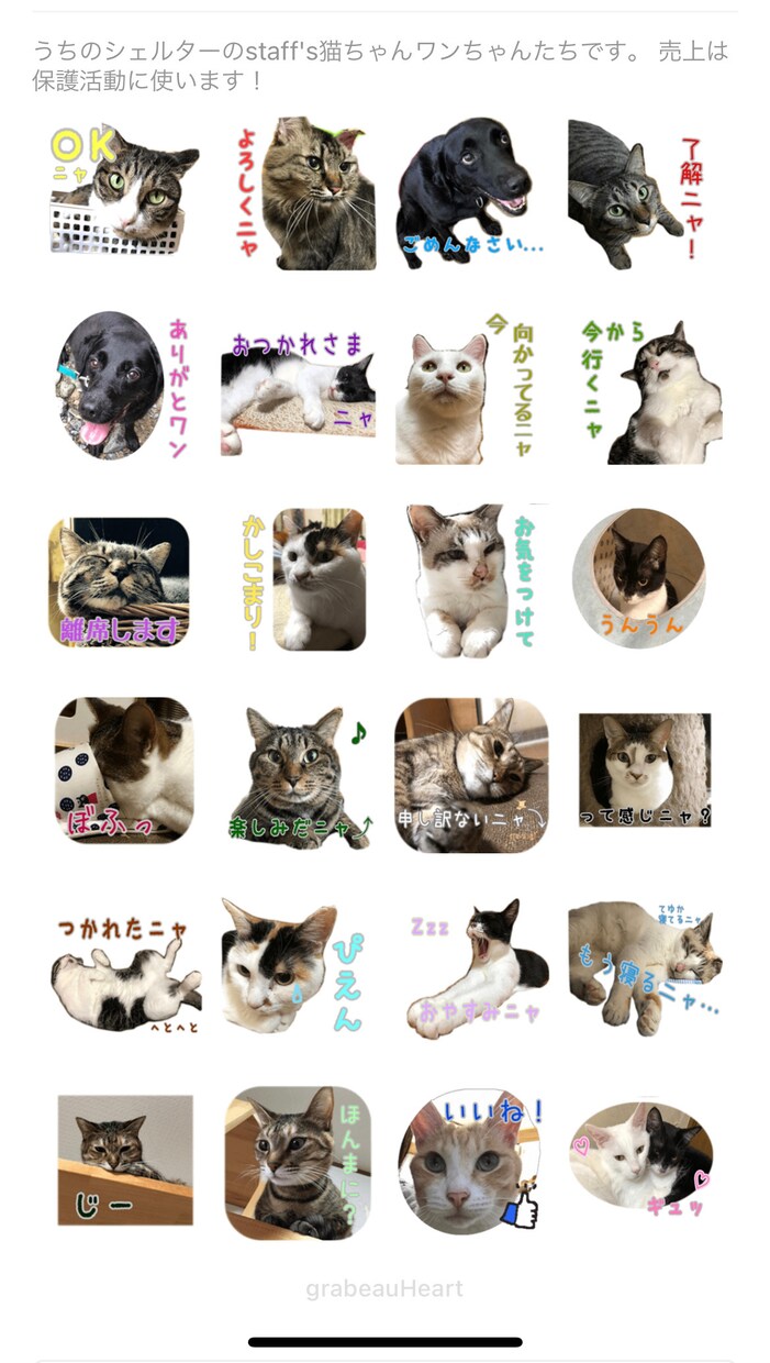 ペットちゃんの動物ラインスタンプ作ります LINEスタンプ作成依頼が保護猫たちへの寄付となります！ イメージ2