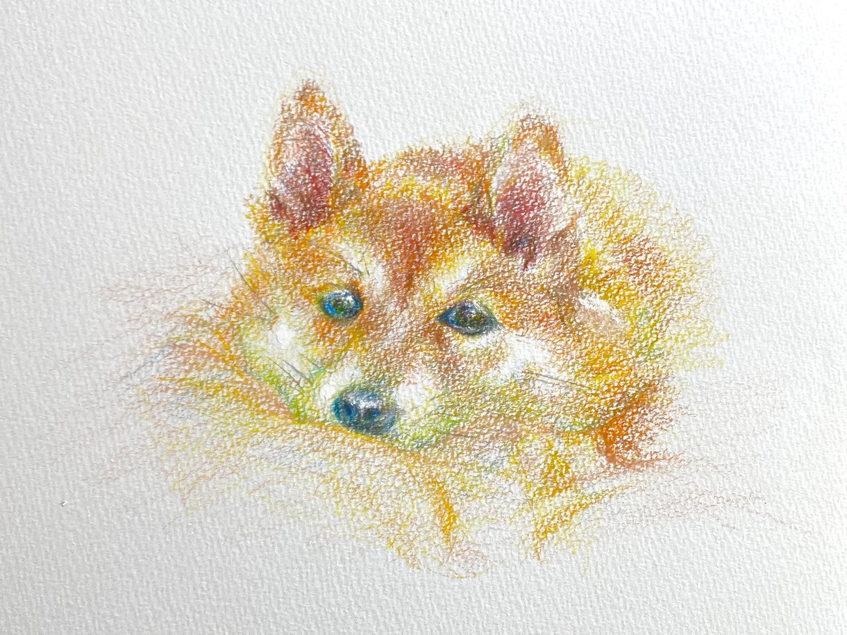 人もペットも！似顔絵描きます 人もペットも、色鮮やかな色鉛筆画で描きます。 イメージ3
