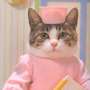 ぶっちゃけ看護師ってどうなの？お答えします 看護師という職業が気になる方へ♡ イメージ1