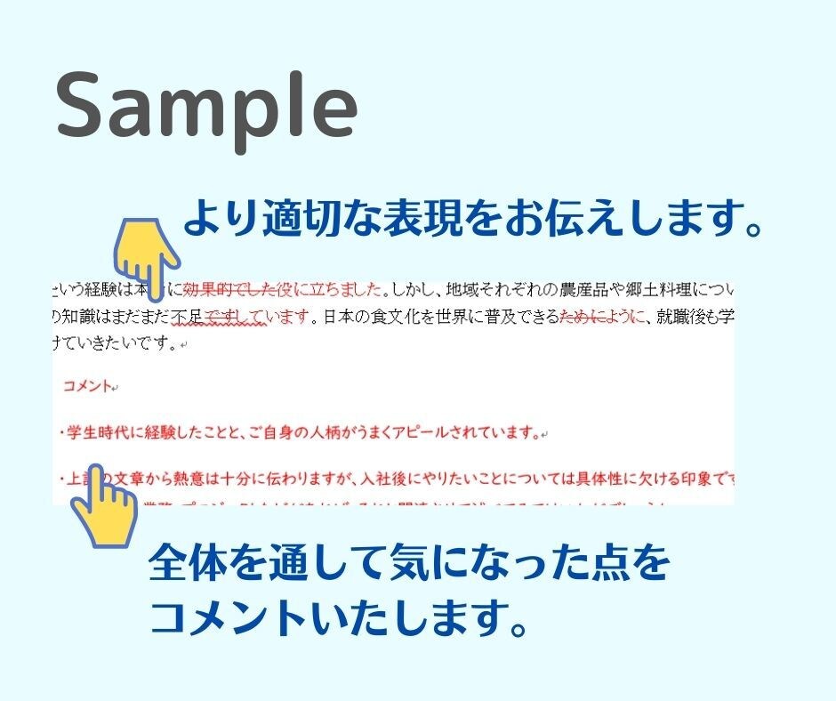 日本人も外国人も！エントリーシートを添削します 日本語教師/校正/就職指導の経験多数/中文可 イメージ2