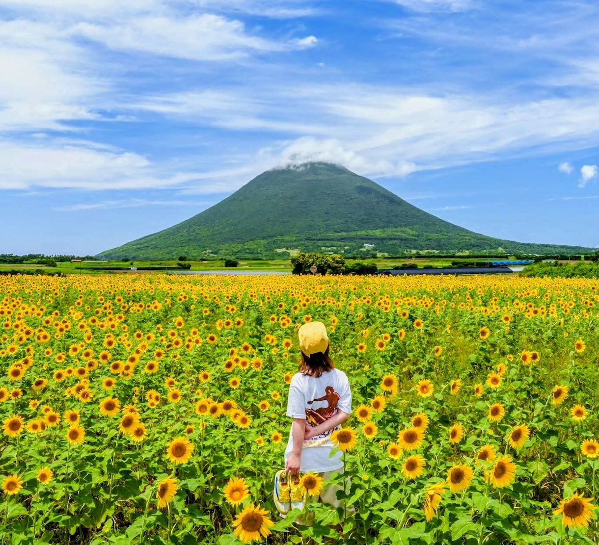 心の声♡無意識●怒り/抑圧/敵意/不満お聴きします 境界性/自己愛性パーソナリティ障害/発達障害/いい人/二面性 イメージ2