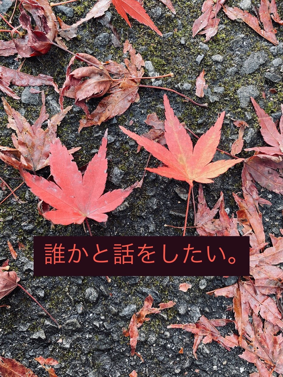 病気でしんどい・寂しい思いを聞きます 統合失調症・うつ病・躁鬱病・発達障害・不安障害・脅迫障害など イメージ1