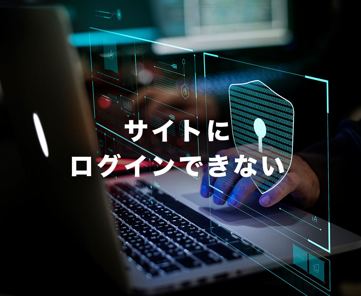 WordPressエラー、不具合の復旧・修正します ワードプレスログイン、マルウェア、サイトエラー改善を即日対応 イメージ7