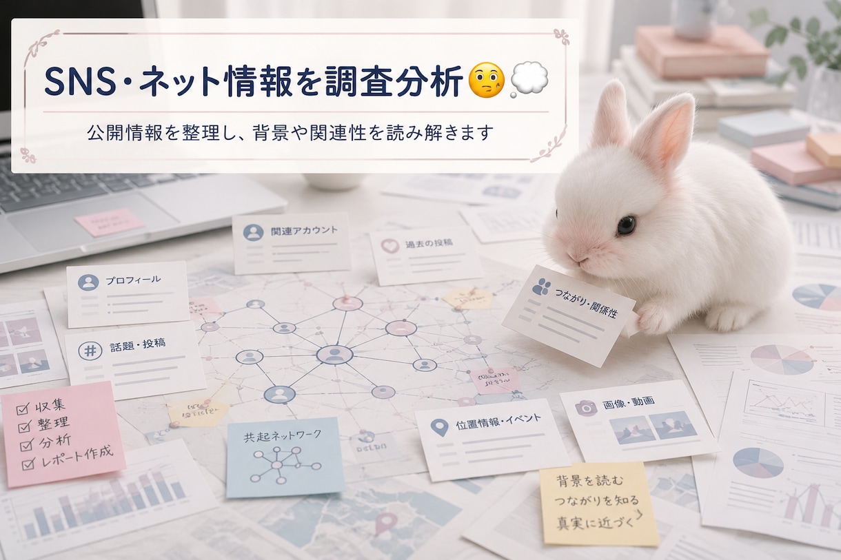 SNSやネットの情報の調査・分析・整理をします 公開情報をもとに、人物・企業・サービスなどを調査・分析します イメージ1