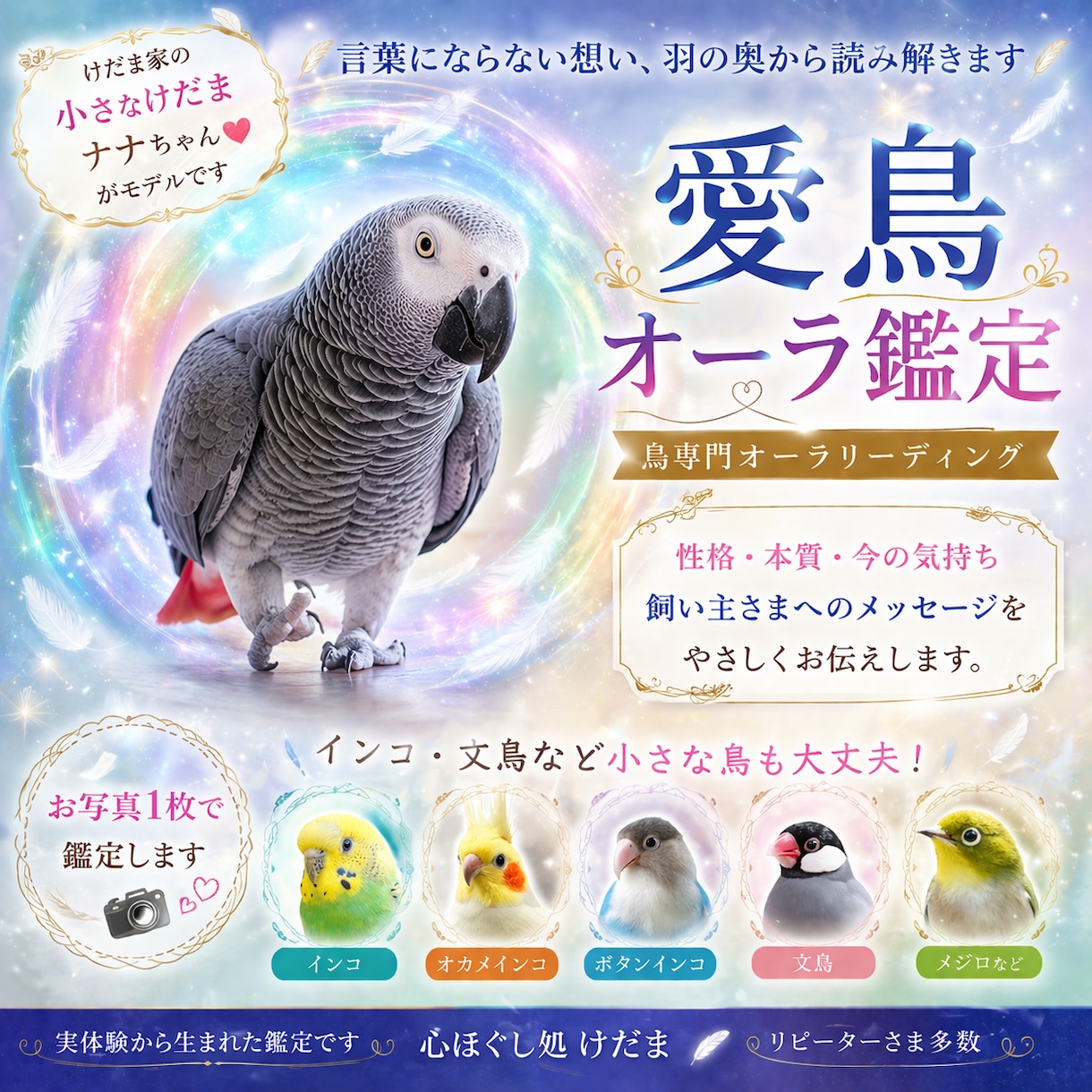 あなたの愛鳥オーラを画像にします 鳥のオーラにも、飼い主様へのメッセージが隠されています イメージ2