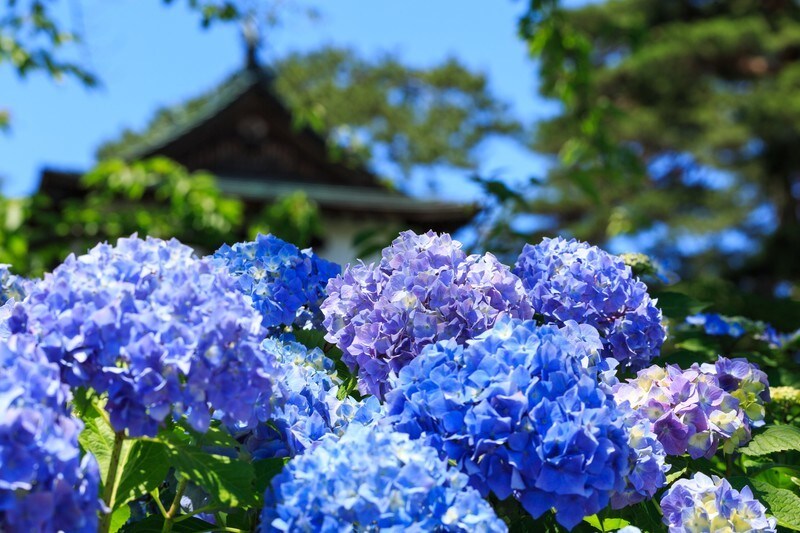 自主練ワーク！自分軸を見つけるお手伝いをします 心の中を見つめて、自分軸を見つけてみませんか イメージ6