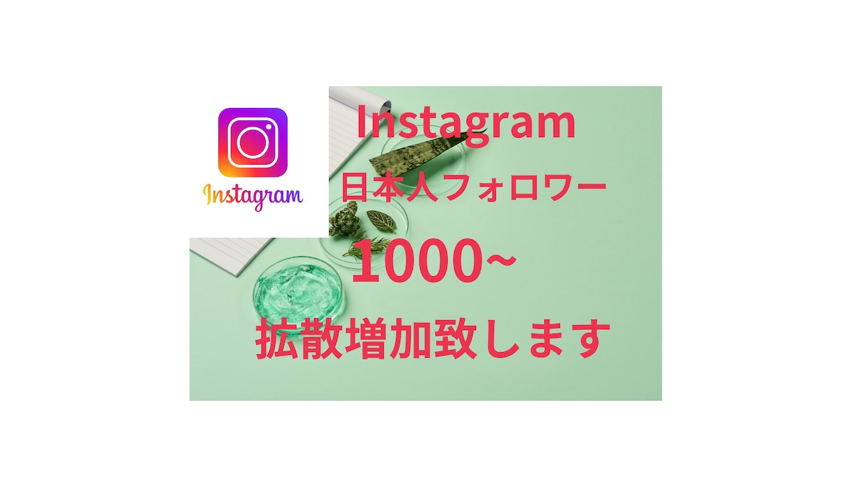 Instagram日本人フォロワー増加します 独自のルートで増加するまで拡散致します。 イメージ1