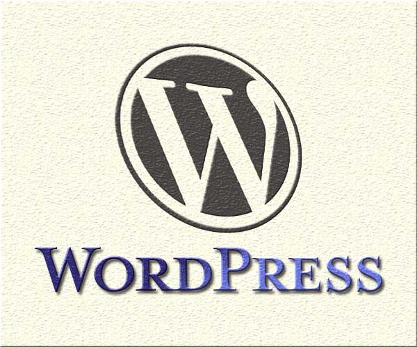 Wordpress のお悩み、相談、アドバイスを行います イメージ1