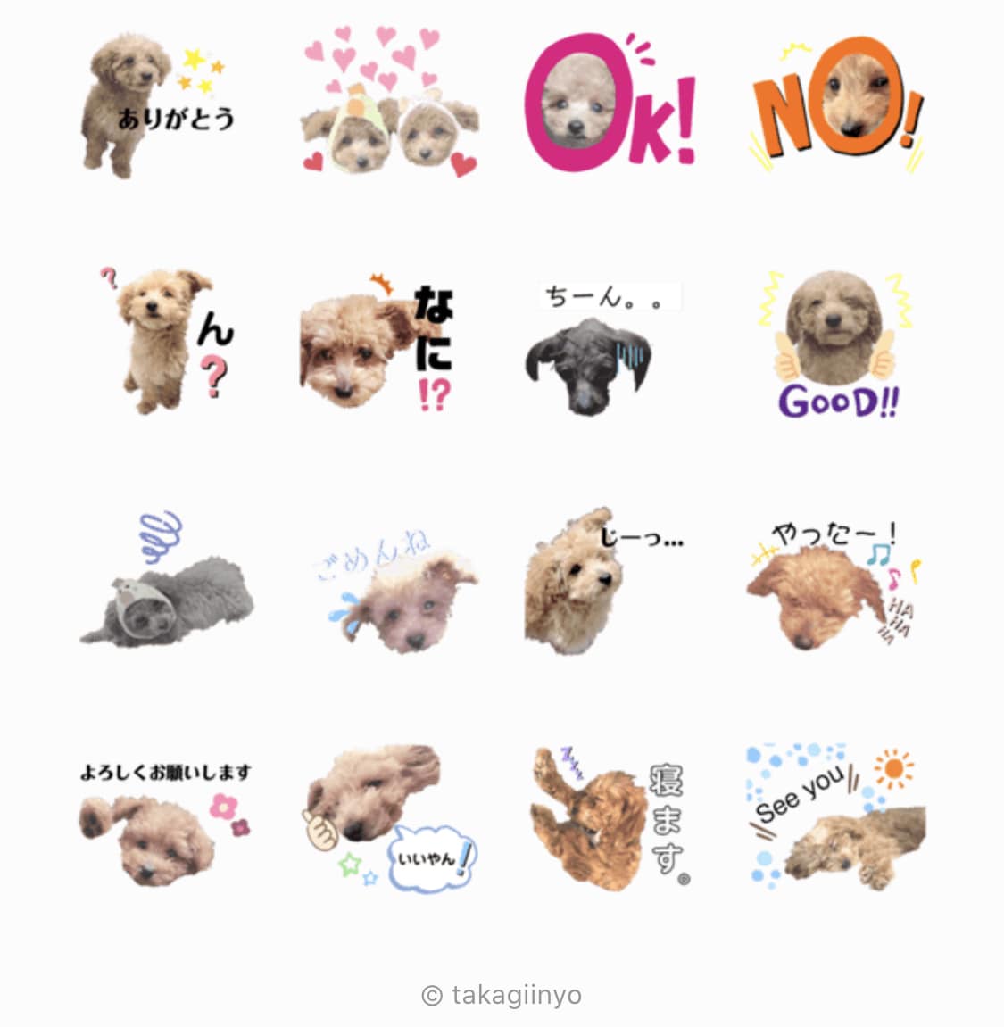 家族の一員(ペット)写真でLINEスタンプ作ります 使うたびに癒される…！大事な家族の写真をLINEスタンプに。 イメージ2