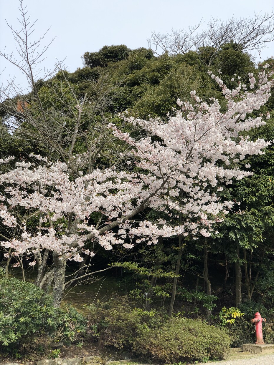 面接対策アドバイスします 面接なんて怖くない。ちょっとしたコツ教えます。 イメージ1
