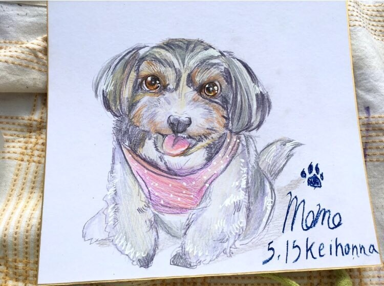 色紙にカラーで似顔絵をかきます 大人から子供や愛犬までだれでもOK色紙一枚1500円カラーで イメージ3