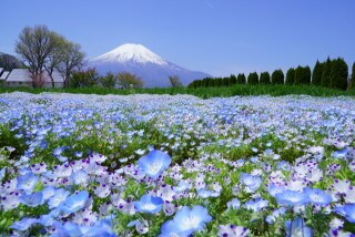 普通の主婦ですが、あなたのご相談に乗ります ストレスが溜まっていて誰かに話を聞いてもらいたいあなたへ イメージ1