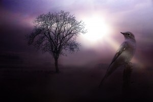 何をしたらいいのか、自分が分からない、やりたい事がない。オーラを霊視し助言します。 イメージ1