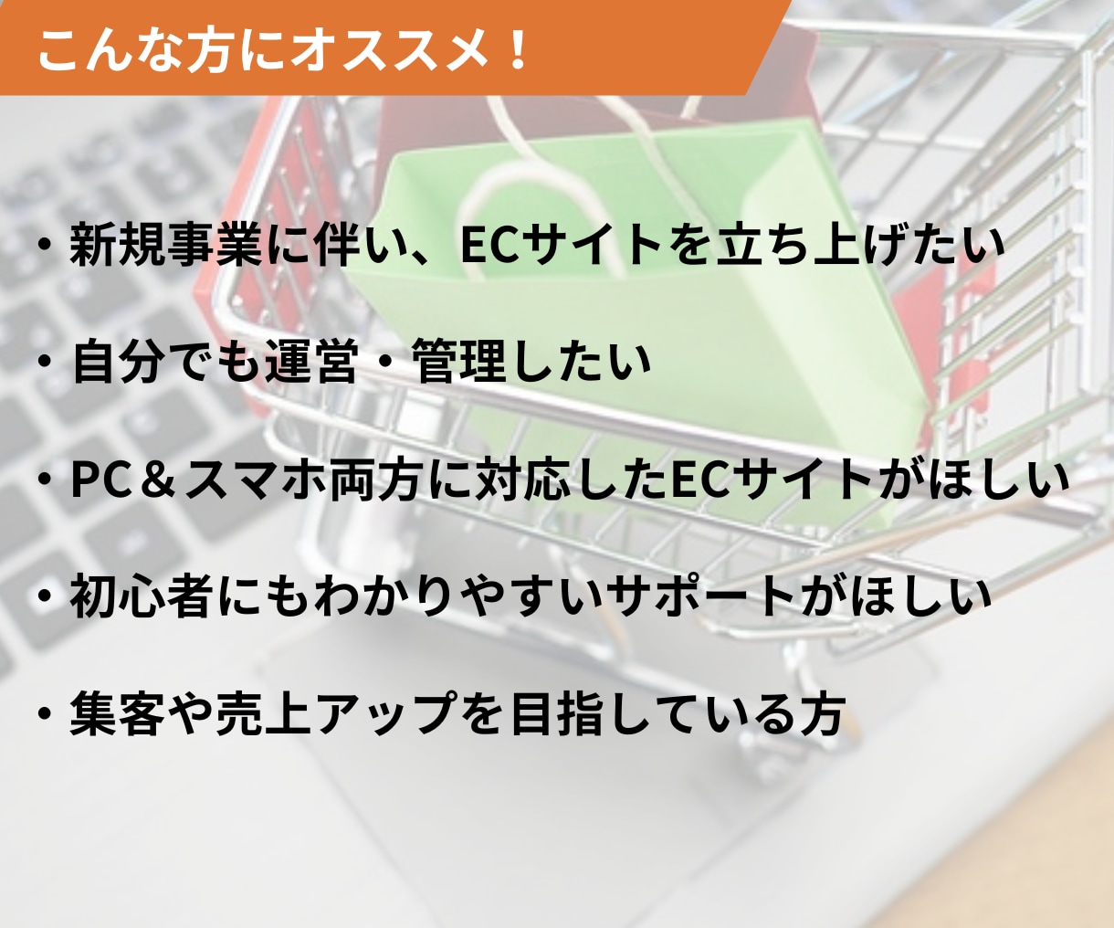 売上拡大！Shopifyネットショップ立ち上げます スピーディーで丁寧！集客力抜群のECサイトをお届けします！！ イメージ2