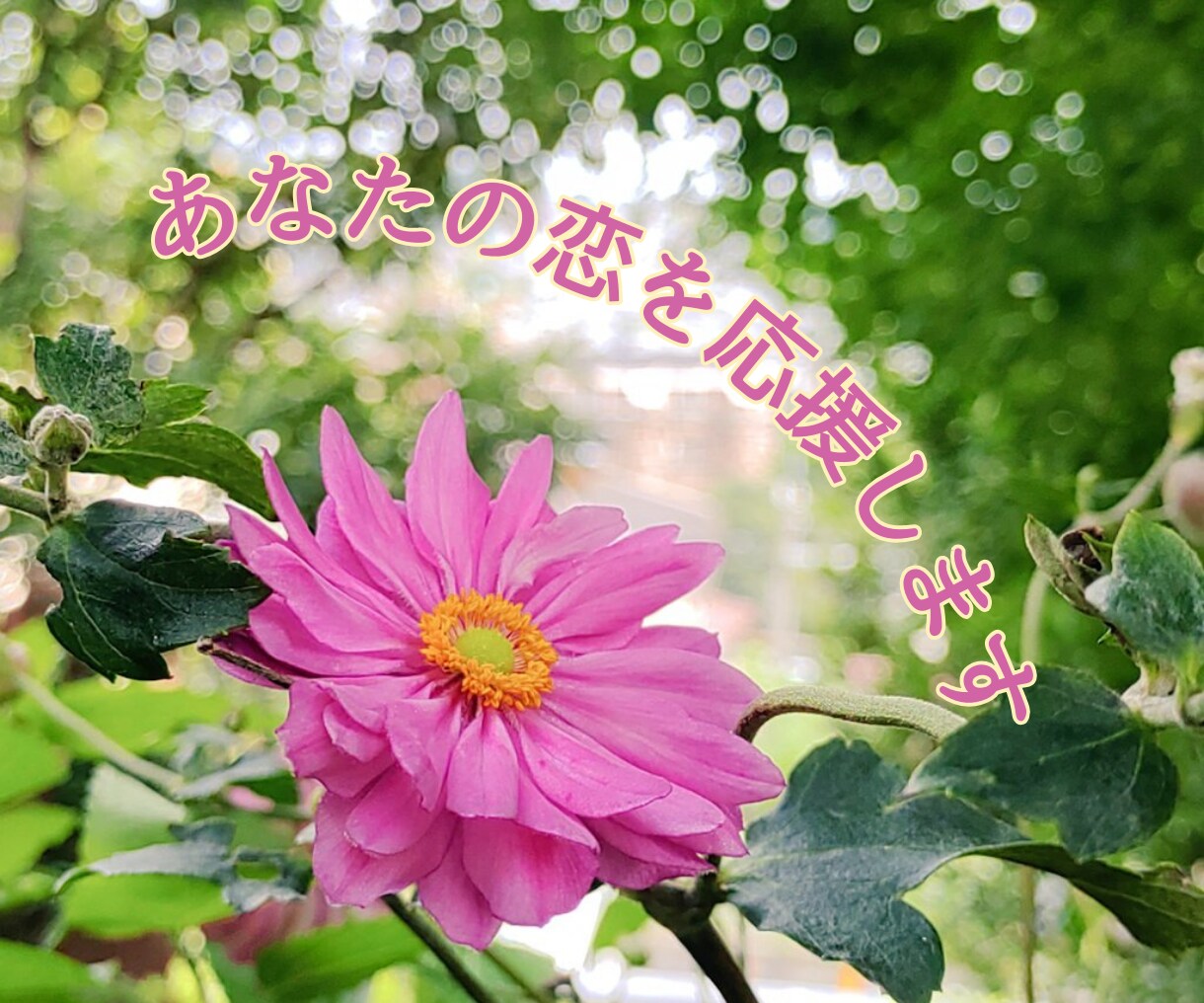 彼の気持ちが知りたい！二人の未来を電話で教えます 理解できない態度・言葉の理由、愛の行方は？・恋のすべての悩み イメージ9