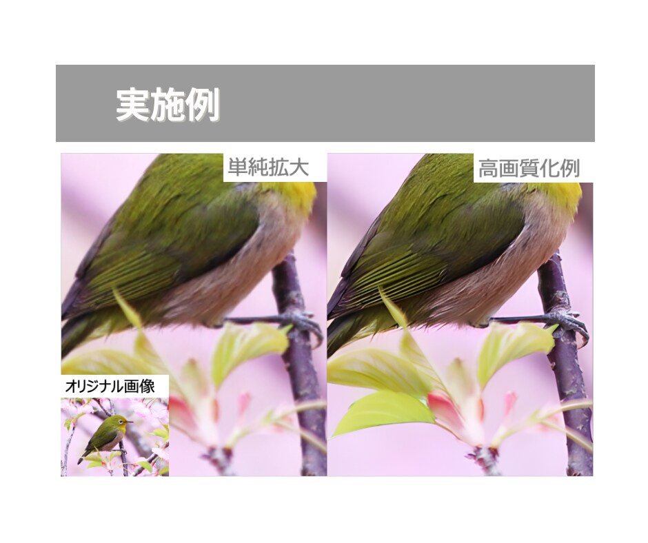 画像の高画質化を行います ボヤけた画像や小さい被写体もクッキリさせます イメージ4