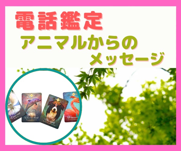 アニマルスピリットからの幸運メッセージお届けします 仕事、恋愛、人間関係についてより良い未来へのお手伝い♪ イメージ1