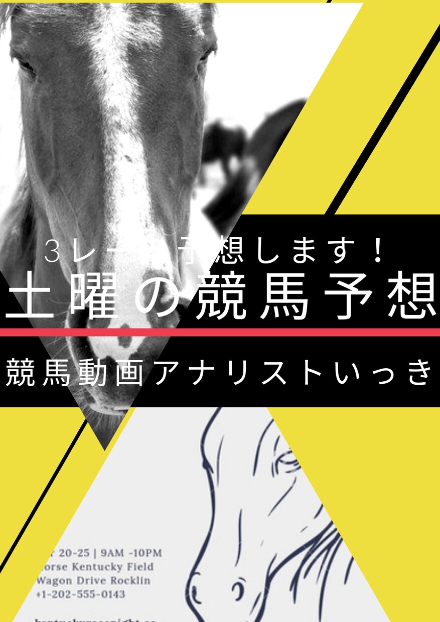 土曜日メイン2つのレースの予想を販売します 馬連5点以内。3連複15点前後で予想します。 イメージ1