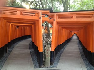 京都女性一人旅も安心！京都旅行経験19回の私が旅のプランを考えます！ イメージ1