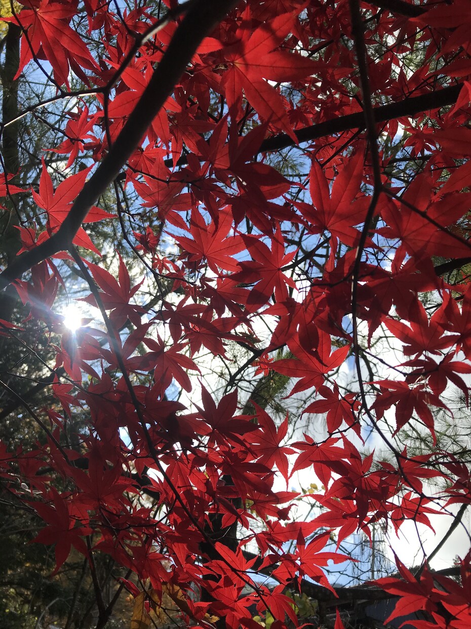 健康管理士が、どんな話でも✨否定せずお聞きします 途中で切っても大丈夫！愚痴、悩み等のストレス発散に！ イメージ9