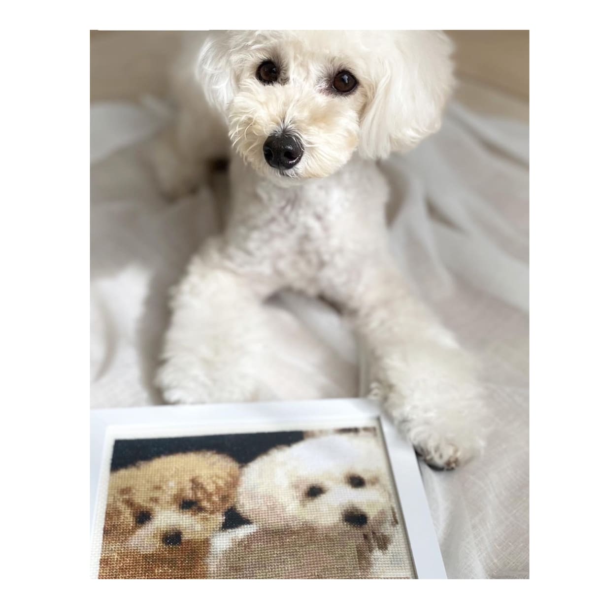 大切なペット写真、お子様の絵をクロスステッチします お気に入りの写真や絵を飾りませんか？プレゼントにも♪ イメージ1