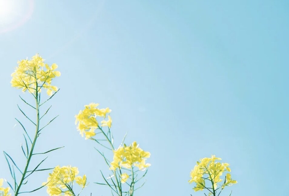 今すぐ話したい！そっとあなたに優しく寄り添います １分からでもお気軽にどうぞ♪何でも話していいよ イメージ4