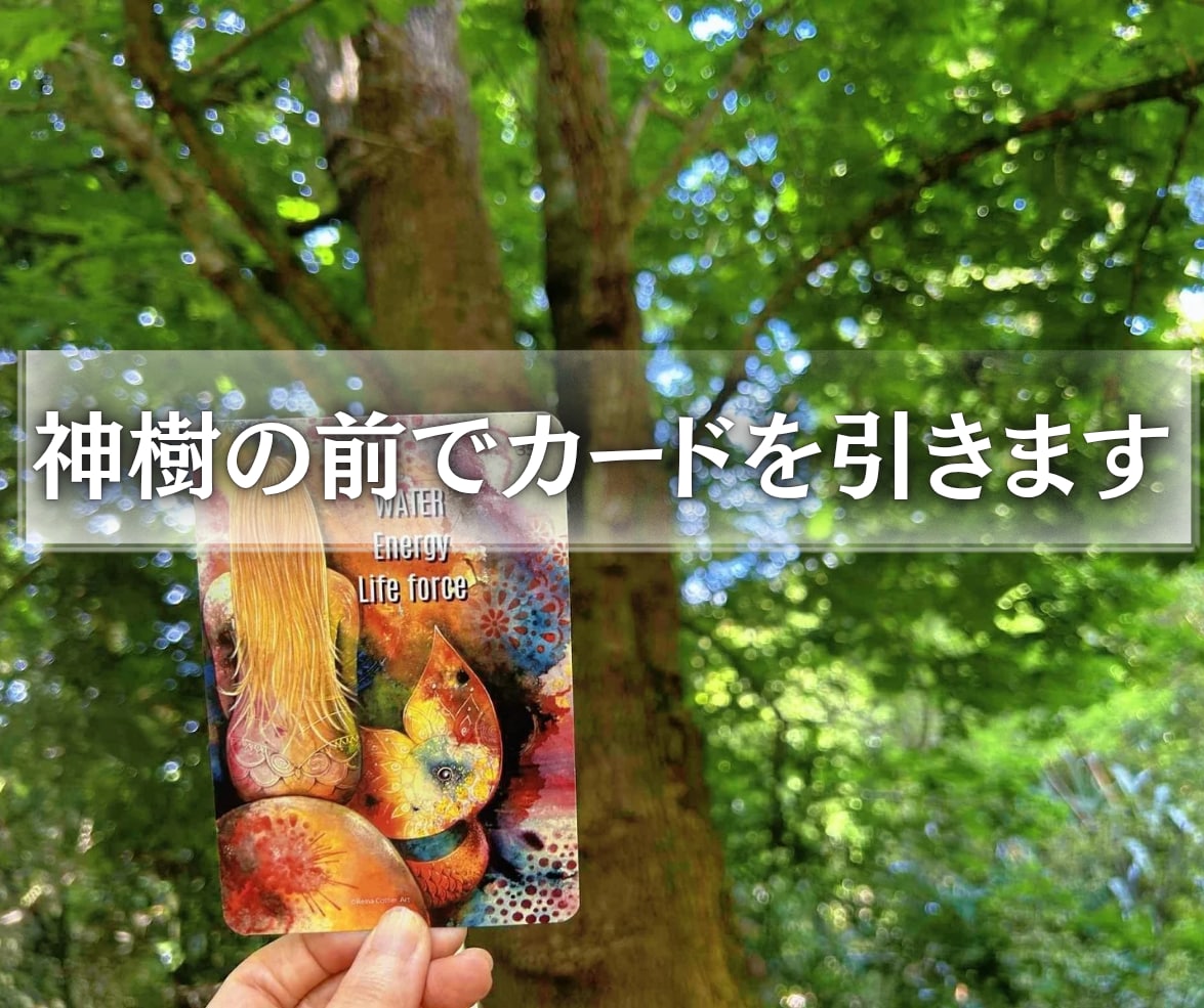 この恋、続けても大丈夫？あの人の本音を視ます 実績2000件！【神樹鑑定】森の聖樹が伝える二人の結末は？ イメージ1