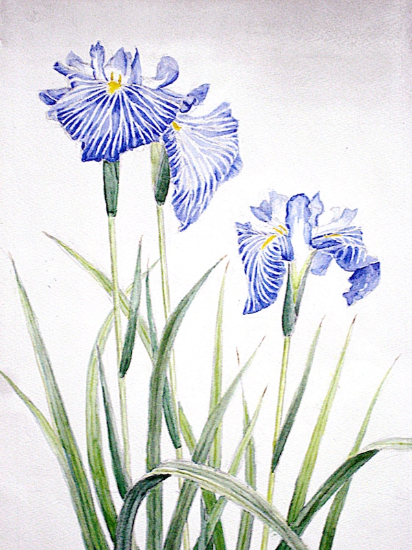 お気に入りの花の写真を水彩画にします あなたの好きな花を作品にして飾りませんか？ イメージ2