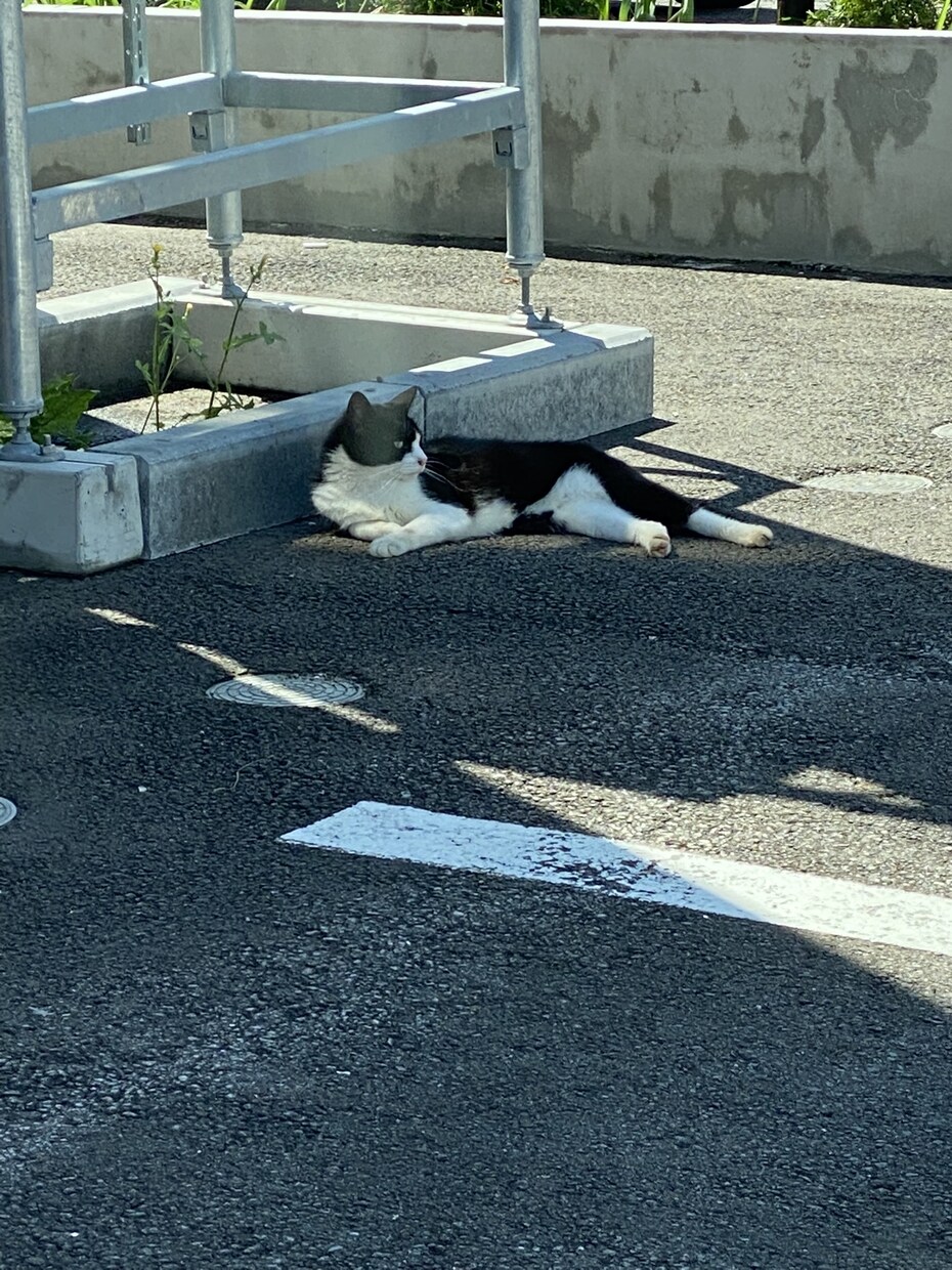 あなたの愚痴や悩み幸せなお話等聞きます 話したいことなんでも聞きます＾＾ イメージ1