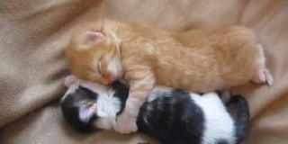 モニター価格恋愛運アップのブロック解除をします オラクルカード1枚引き♡恋愛に特化したブロック解除5個 イメージ3