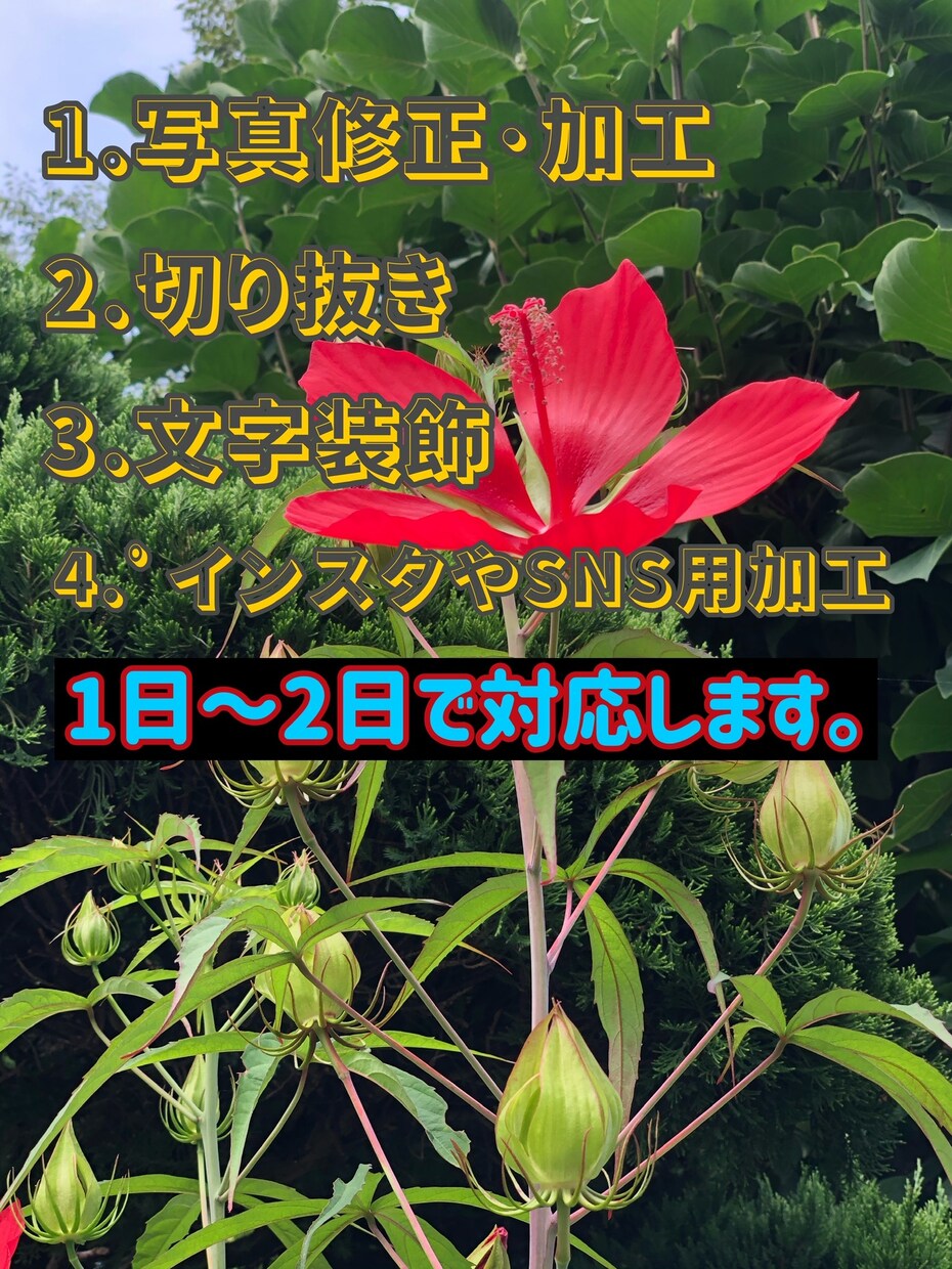 試し版  1枚のみ写真(画像)修正･加工をします 日本一の写真を美しく見せます。 イメージ3