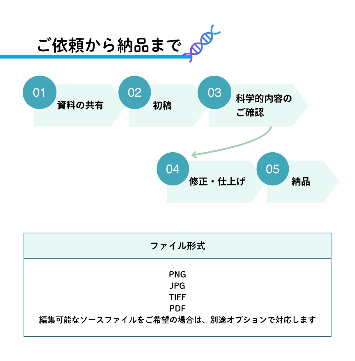 研究図・論文図・サイエンスイラストを作成します 医学・科学の模式図、シェーマ、学会用図版にも対応 イメージ8