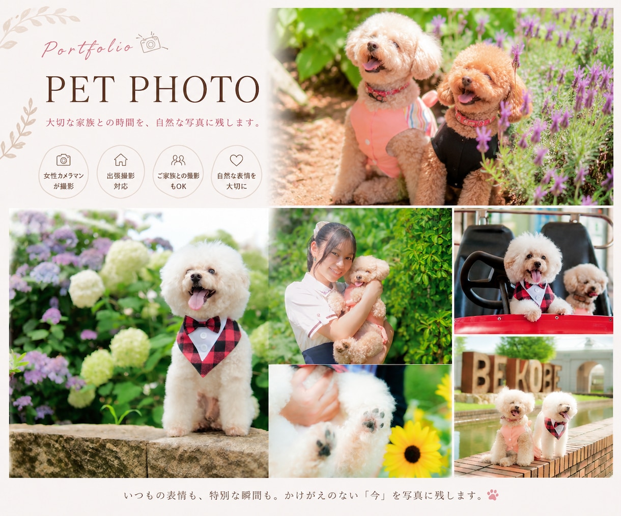 ペット撮影で大切な家族との思い出を写真に残します 犬・猫・小動物・鳥・爬虫類など幅広く対応します。 イメージ2