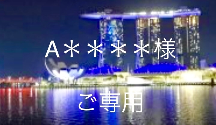 A＊＊＊＊＊様、ご専用ページとなります 光るレジュメ、お作りいたします！ イメージ1
