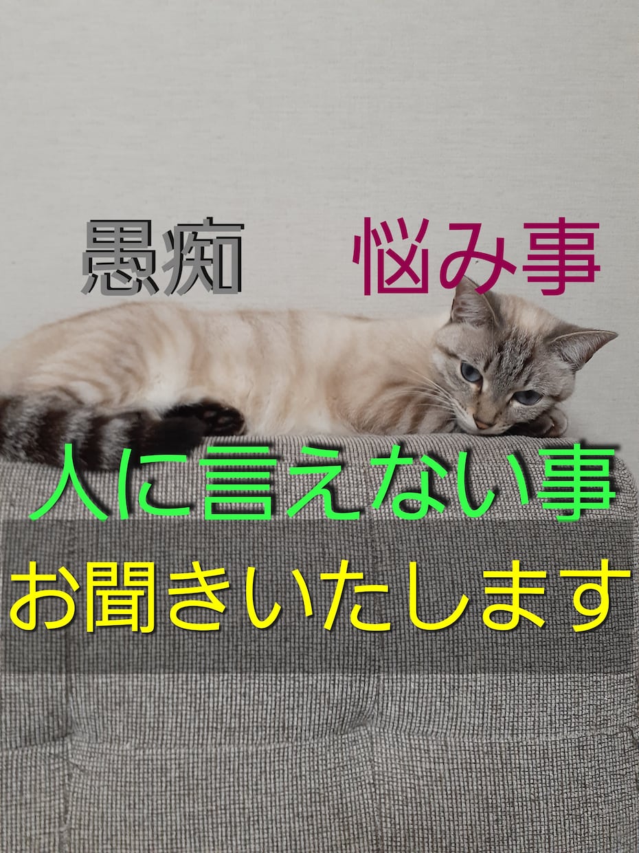 愚痴、悩み事、人に言えない事お話お聞きいたします サラリーマンの私がお聞きしましょう！ イメージ1