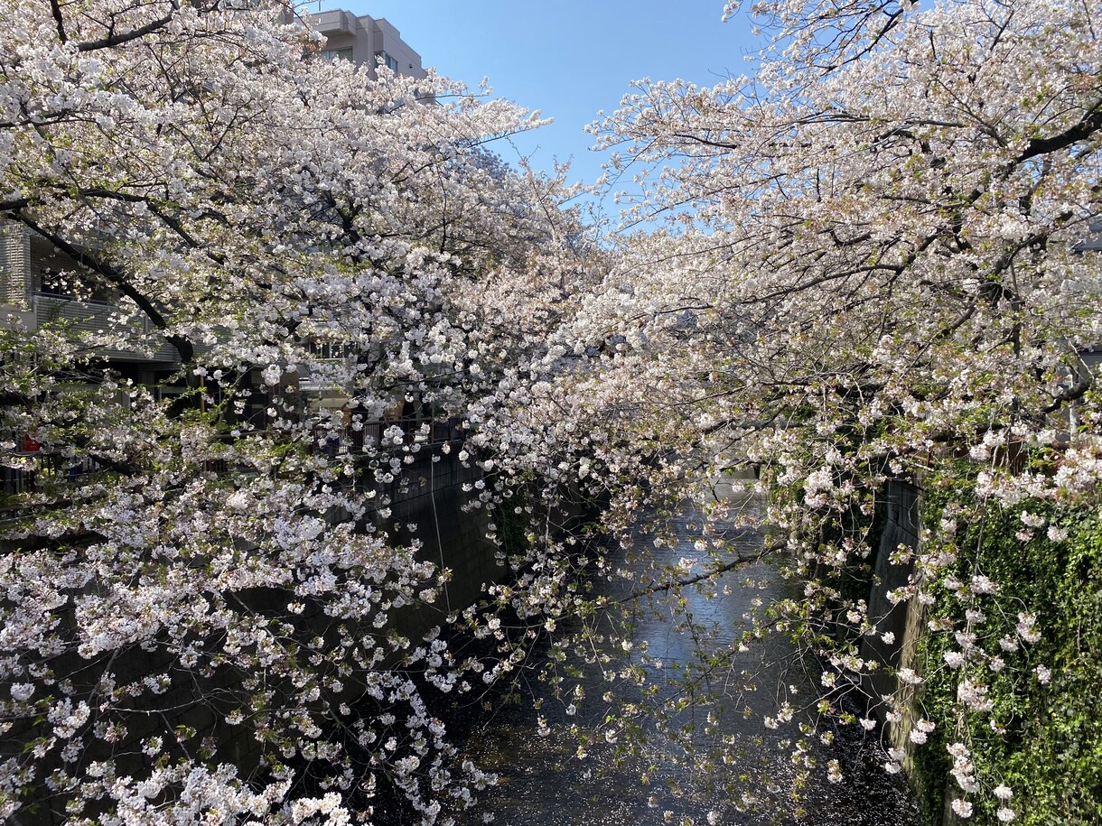 思考と感情の整理をします とにかく悩んでる、話を聞いてほしい方へ イメージ1