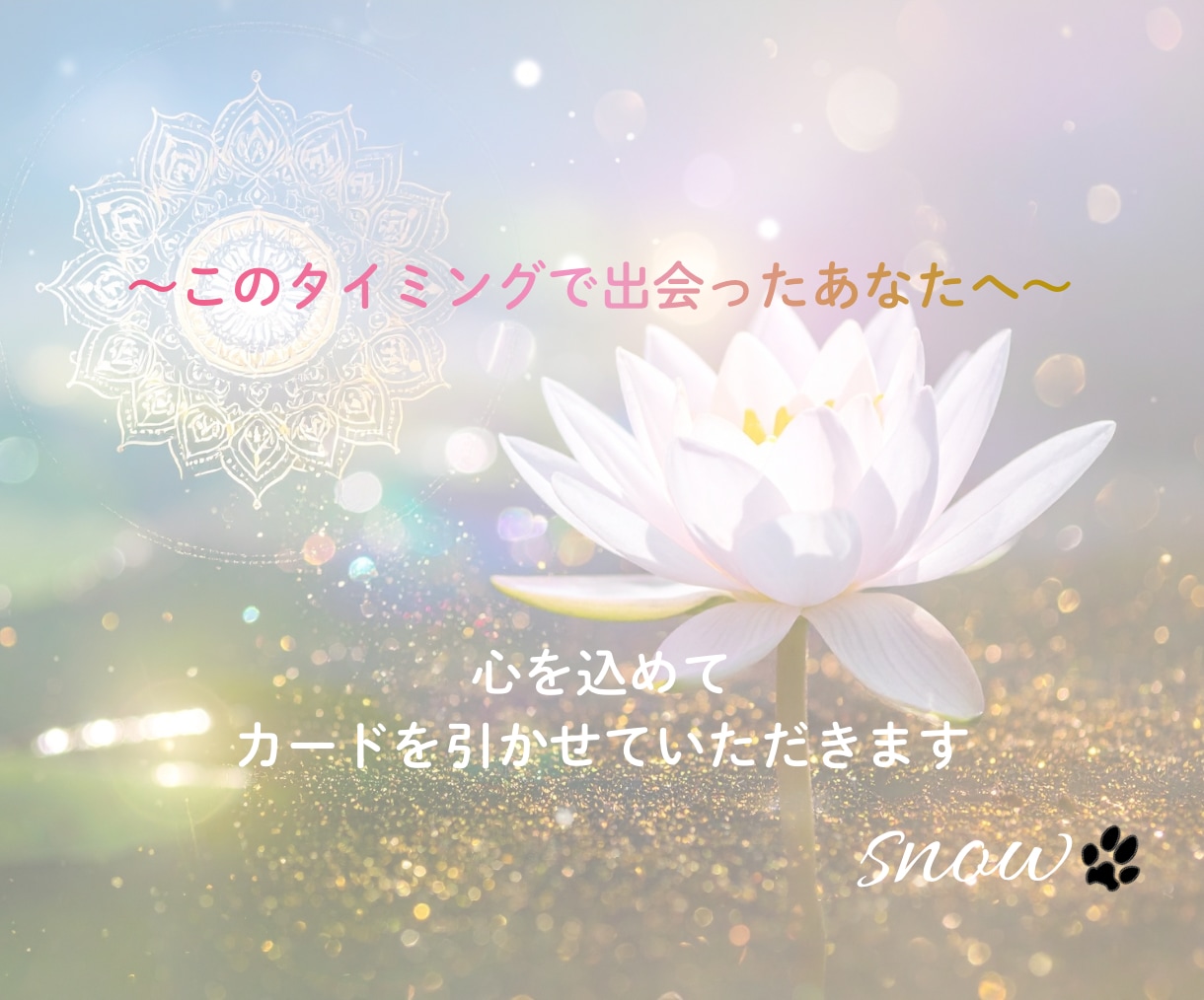 オラクルカードからあなたにメッセージをお届けします 〜✦1枚のカードであなたに癒しと気づきを✦〜 イメージ10