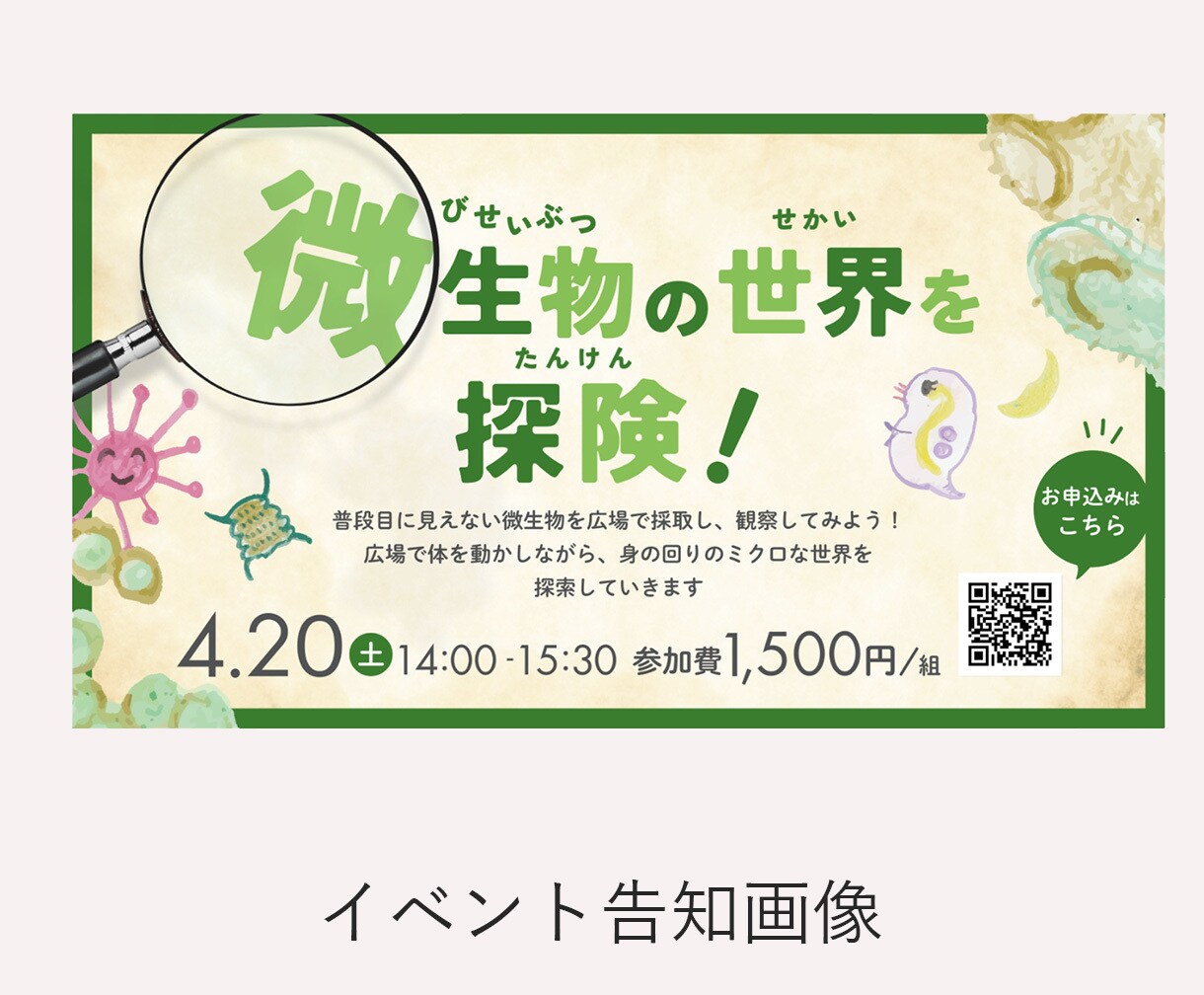 キレイ目・かわいい・上品なWEB画像作ります 30-40代女性に刺さるバナーを作ります！ イメージ4