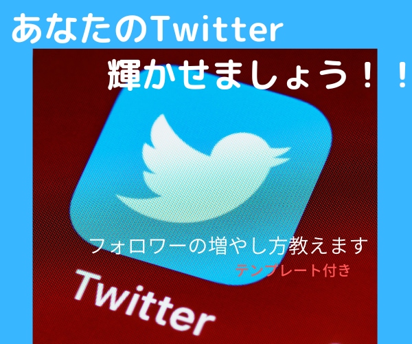 フォロワーの増やし方教えます 輝けるTwitterに！テンプレ付き イメージ1