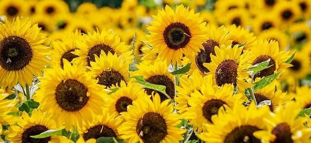 自問自答をモヤモヤと繰り返す気持ちに寄り添います 同じことを悶々とループ！悩みたくないけど悩んでいる方の相談室 イメージ3
