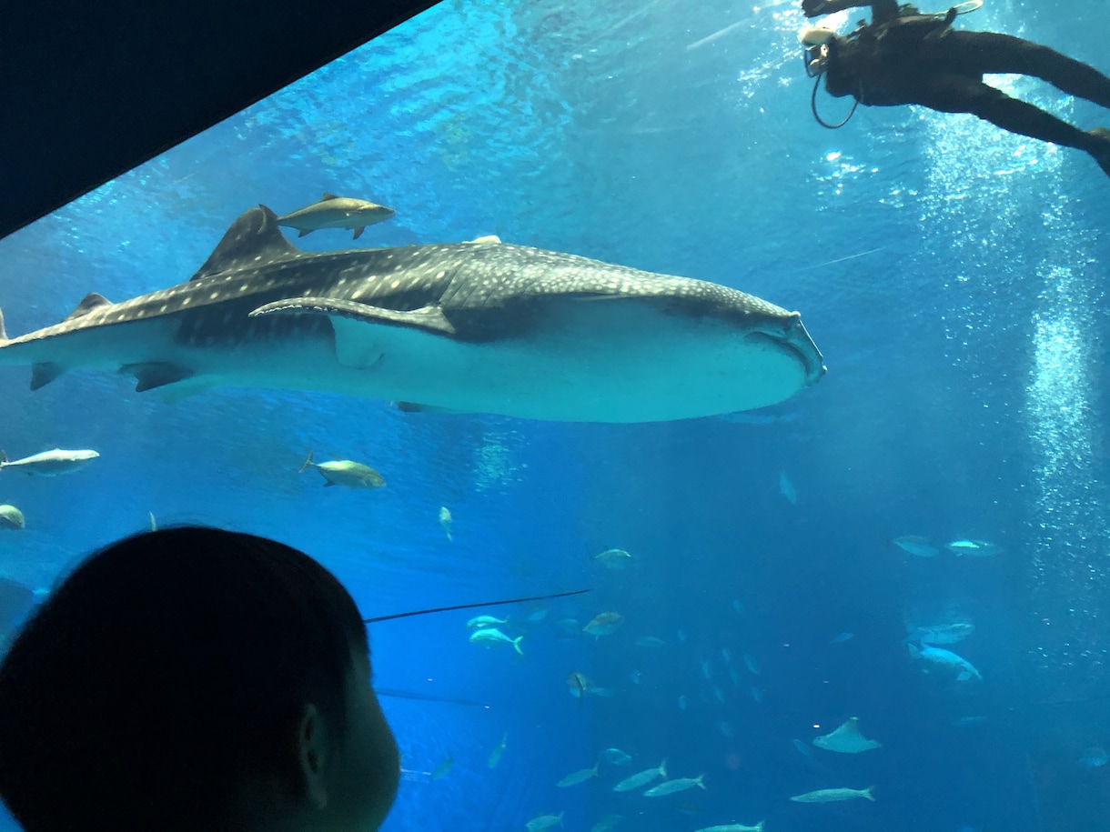 ２泊３日、沖縄旅行のプランを提案します 沖縄に行きたいけど全く分からないという方へ私がプランをご提案 イメージ1