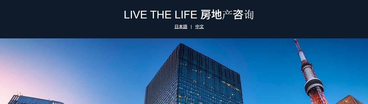 多言語対応LP対応いたします 多言語対応LP作ります！インバウンド向け！ イメージ4