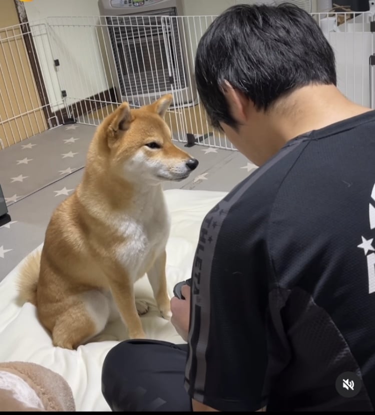 対人関係に悩む人親身に相談乗ります 日本は狭いから直ぐ噂になるよ！ イメージ1
