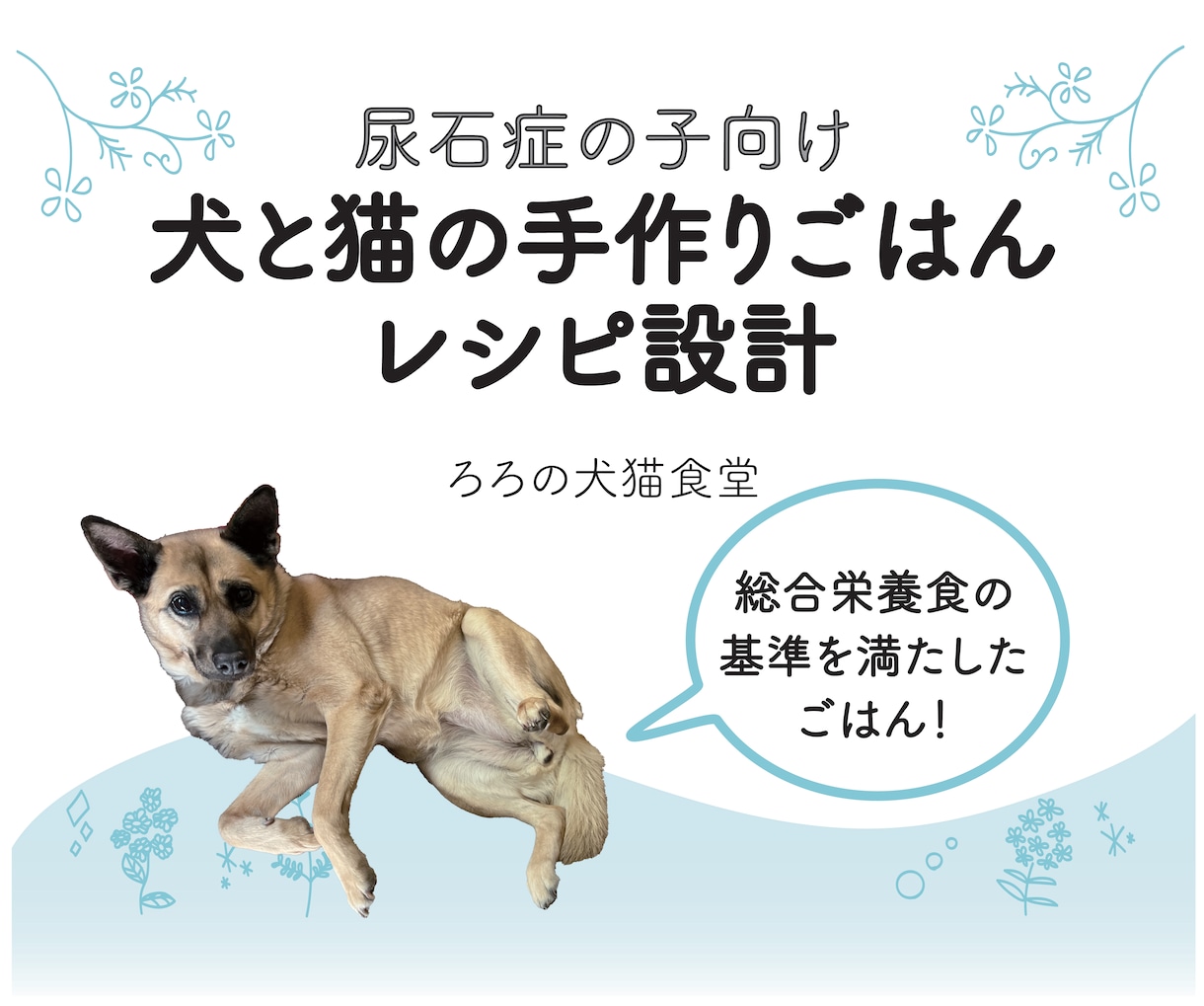 尿石症の子向けの手作りレシピ設計します 尿石症のわんちゃんねこちゃんのための手作りレシピを設計します イメージ1