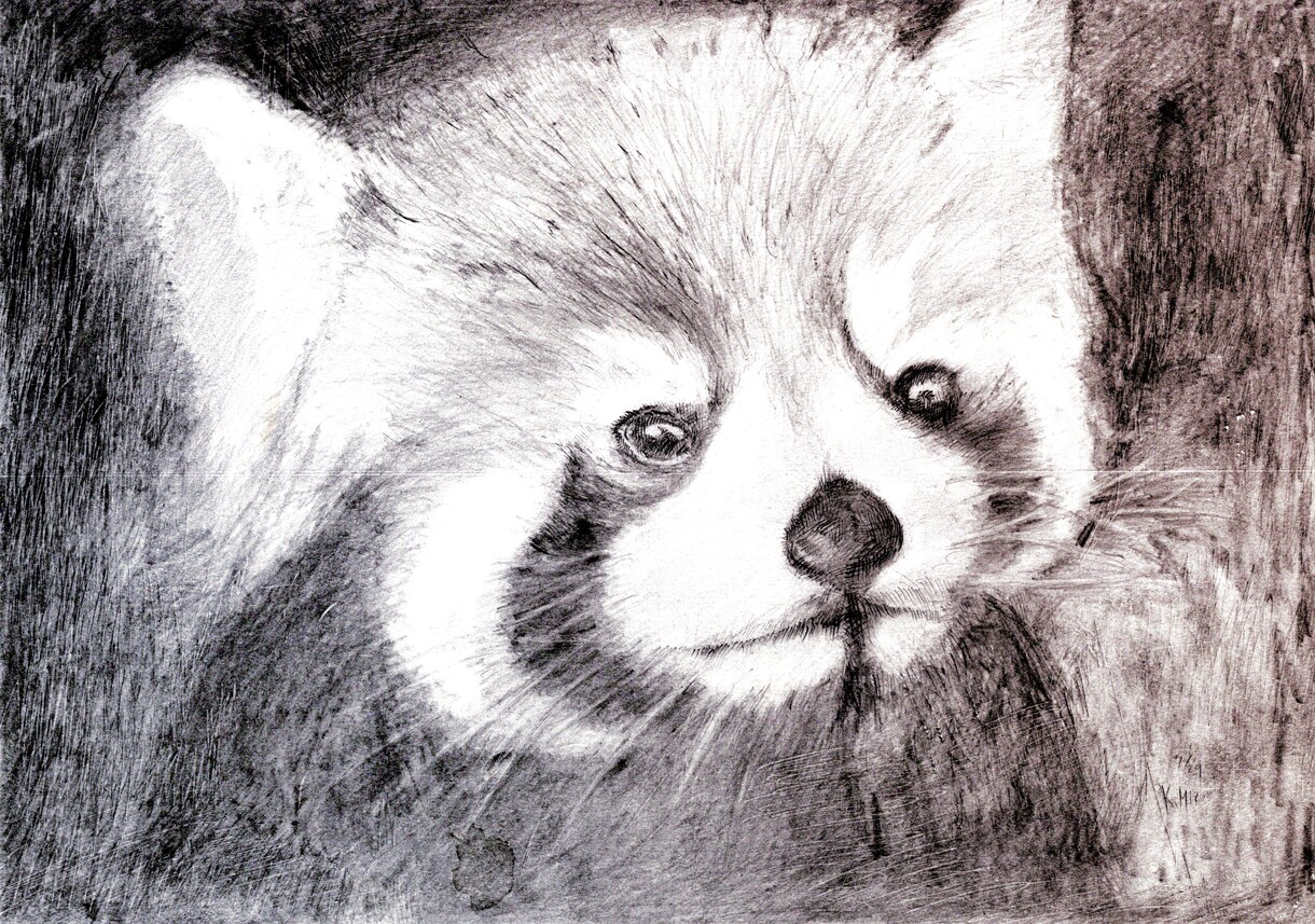 温かみのある鉛筆画でペットさんの絵をお届けします いろいろな動物描けます！記念やプレゼント用に イメージ6