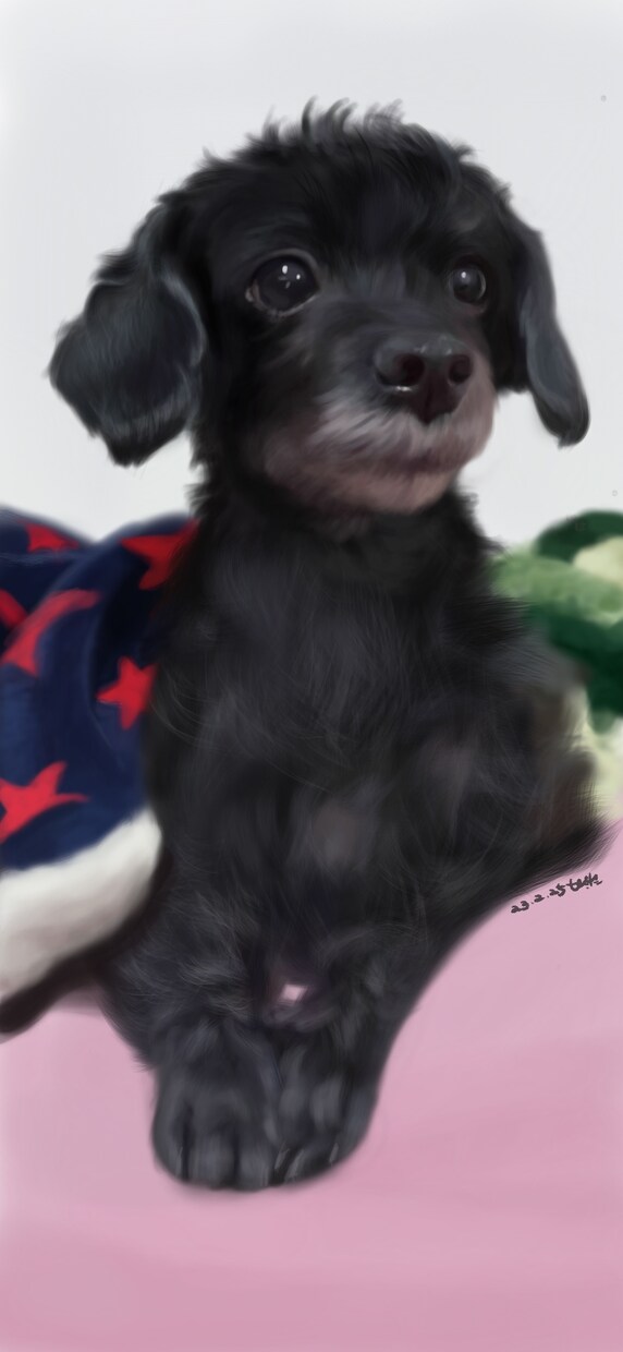 ペットのリアルな似顔絵を描きます iPadでリアルなデジタル絵を提供します。 イメージ4