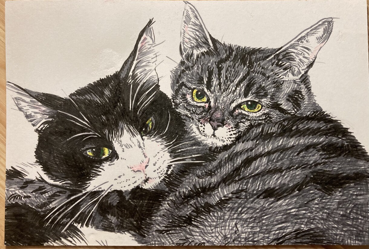 最初のご購入者様限定価格！ペン画ペットを作成します 世界に一点だけの絵ハガキ。現物をお届け！ イメージ3