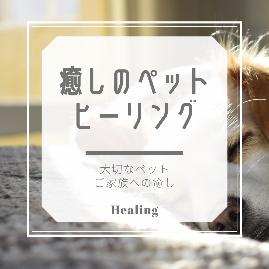 大切な家族（ペット）にご褒美⭐️ヒーリング致します エネルギーセラピー癒しのヒーリング⭐️大切な家族へリラックス イメージ2