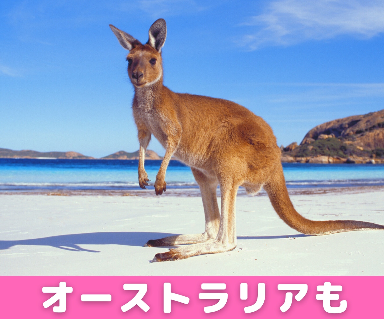自宅から世界に！オンライン教室の始め方教えます 誰でもカンタン！自宅でオンライン教室始めてみませんか？ イメージ8